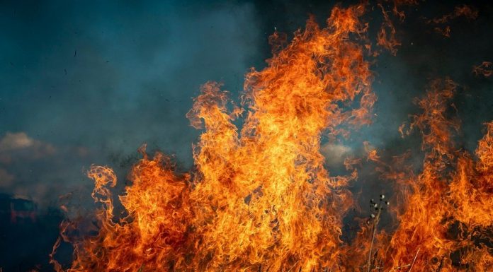 Ponad 500 pożarów traw w Małopolsce od początku roku. Grzywna za wypalanie to nawet 30 tys. złotych