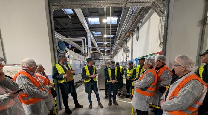 35 lat linii puszkowej w Browarze Okocim. To tutaj zaczęła się era piwa w puszce w Polsce