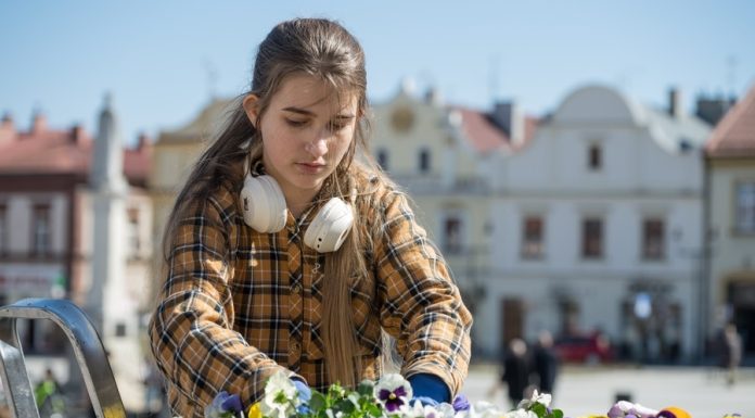 Bochnia. W piątek wspólne sadzenie kwiatów na Rynku. Burmistrz zaprasza mieszkańców