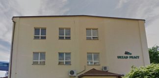 Była sekretarz miasta pokieruje ważnym wydziałem w PUP