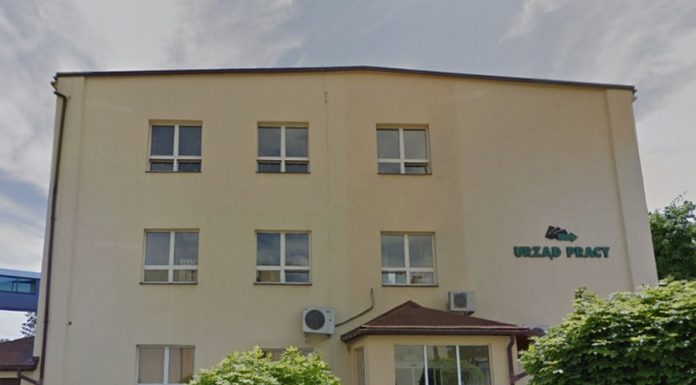 Była sekretarz miasta pokieruje ważnym wydziałem w PUP