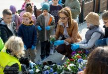 Burmistrz z przedszkolakami sadziła kwiaty na Rynku – ZDJĘCIA