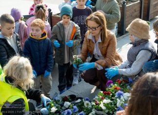 Burmistrz z przedszkolakami sadziła kwiaty na Rynku – ZDJĘCIA