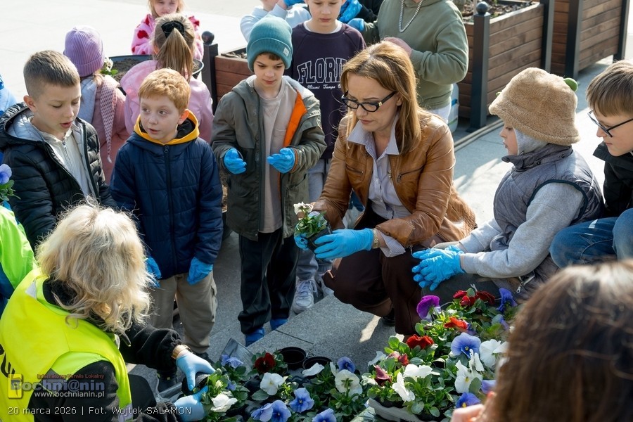 Burmistrz z przedszkolakami sadziła kwiaty na Rynku – ZDJĘCIA