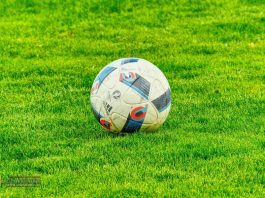 BKS Bochnia wyraża solidarność z Wisłą Kraków. Jest oświadczenie zarządu