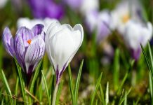 🌞 Przed nami ciepły i słoneczny weekend