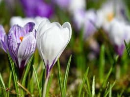 🌞 Przed nami ciepły i słoneczny weekend