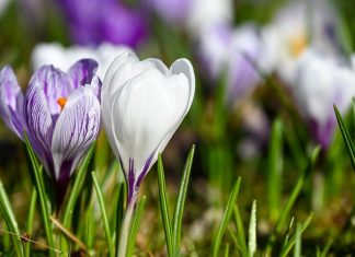 🌞 Przed nami ciepły i słoneczny weekend