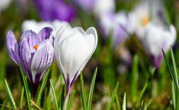 🌞 Przed nami ciepły i słoneczny weekend