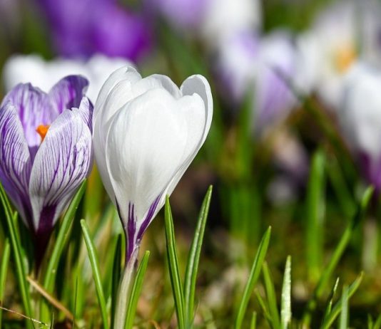 🌞 Przed nami ciepły i słoneczny weekend