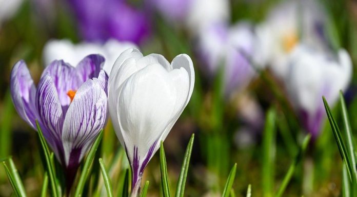 🌞 Przed nami ciepły i słoneczny weekend