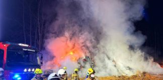 Duży pożar w Borku. Przez całą noc z ogniem walczyło ponad 50 strażaków – ZDJĘCIA