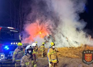 Duży pożar w Borku. Przez całą noc z ogniem walczyło ponad 50 strażaków – ZDJĘCIA