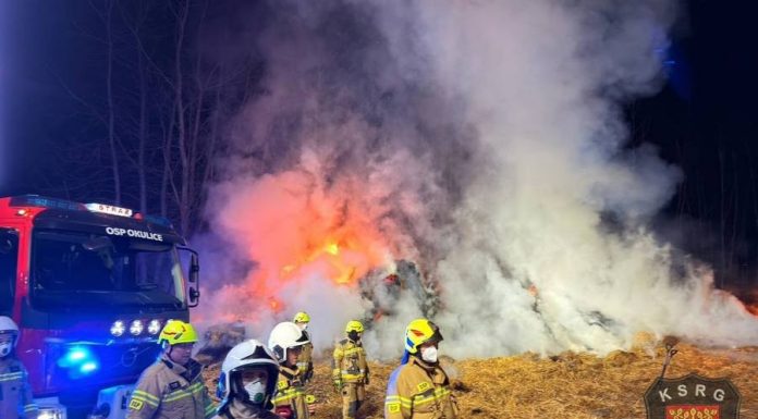 Duży pożar w Borku. Przez całą noc z ogniem walczyło ponad 50 strażaków – ZDJĘCIA