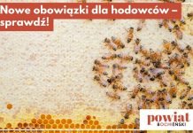 Nowe obowiązki dla właścicieli zwierząt. Trzeba zgłosić hodowlę do weterynarii
