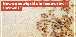 Nowe obowiązki dla właścicieli zwierząt. Trzeba zgłosić hodowlę do weterynarii