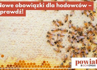 Nowe obowiązki dla właścicieli zwierząt. Trzeba zgłosić hodowlę do weterynarii