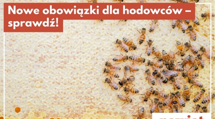 Nowe obowiązki dla właścicieli zwierząt. Trzeba zgłosić hodowlę do weterynarii