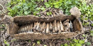 Gdów. Skrzynka z amunicją z czasów II wojny światowej znaleziona w sadzie