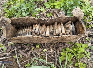 Gdów. Skrzynka z amunicją z czasów II wojny światowej znaleziona w sadzie