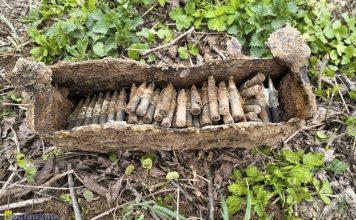 Gdów. Skrzynka z amunicją z czasów II wojny światowej znaleziona w sadzie