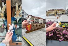 Mały króliczek zwiedza Bochnię. Wielkanocna akcja z przymrużeniem oka