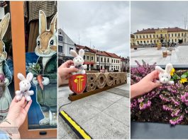Mały króliczek zwiedza Bochnię. Wielkanocna akcja z przymrużeniem oka