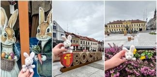 Mały króliczek zwiedza Bochnię. Wielkanocna akcja z przymrużeniem oka