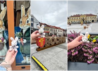 Mały króliczek zwiedza Bochnię. Wielkanocna akcja z przymrużeniem oka