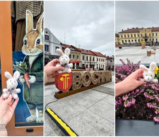 Mały króliczek zwiedza Bochnię. Wielkanocna akcja z przymrużeniem oka
