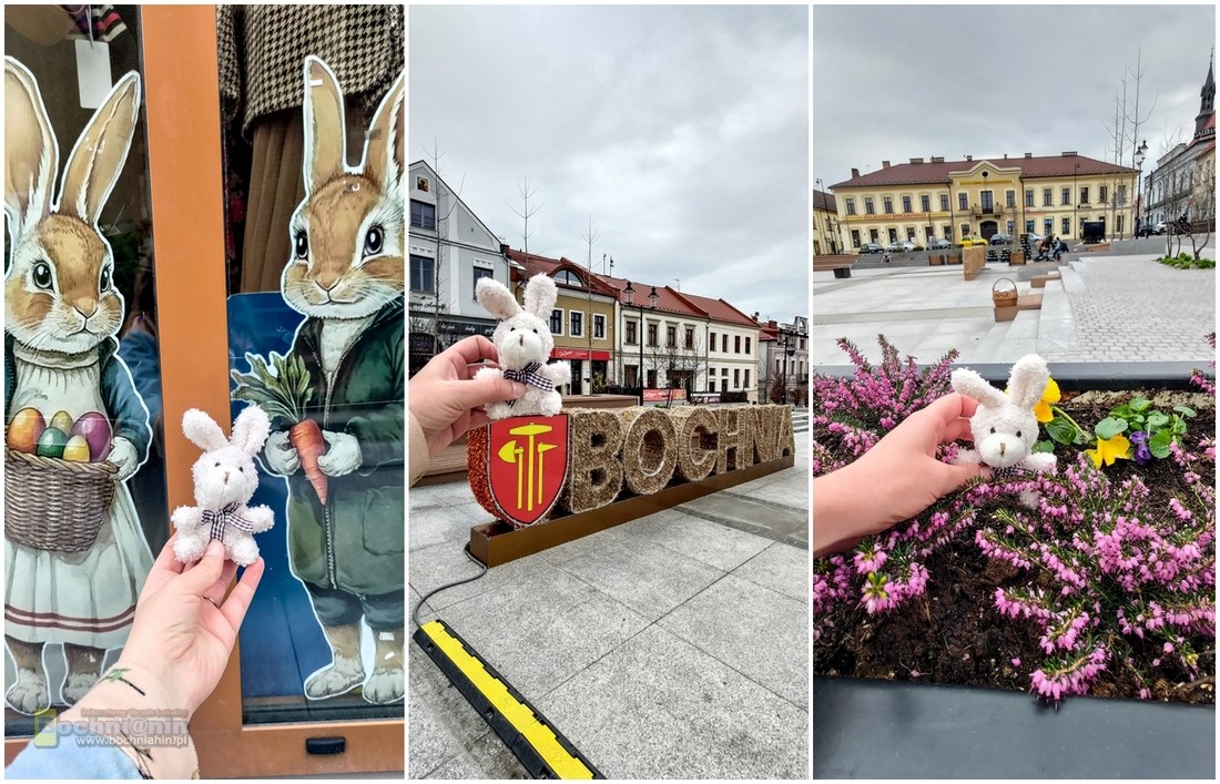 Mały króliczek zwiedza Bochnię. Wielkanocna akcja z przymrużeniem oka