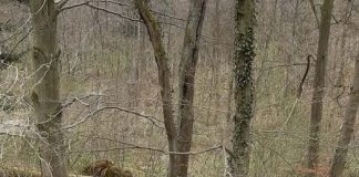 Groźne zdarzenie na ul. Strzeleckiej w Bochni. Auto spadło ze skarpy