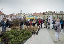 V Powiatowy Piknik Ekologiczny na Rynku w Bochni – ZDJĘCIA