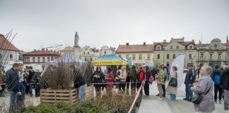 V Powiatowy Piknik Ekologiczny na Rynku w Bochni – ZDJĘCIA