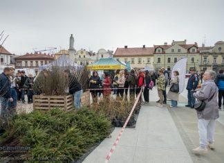 V Powiatowy Piknik Ekologiczny na Rynku w Bochni – ZDJĘCIA