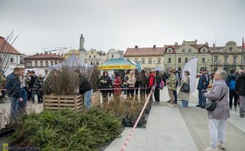 V Powiatowy Piknik Ekologiczny na Rynku w Bochni – ZDJĘCIA