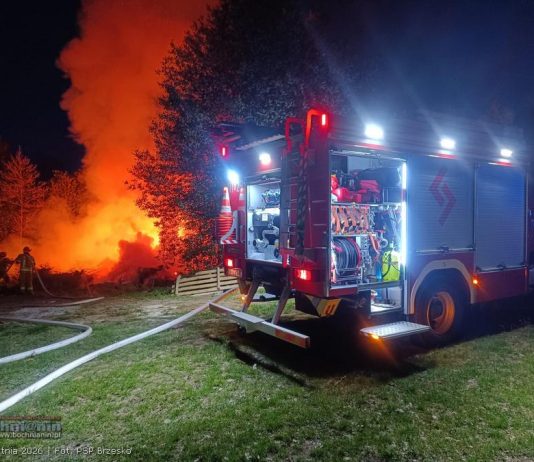 Pożar w Mokrzyskach. Trwa dogaszanie ognia przy lesie