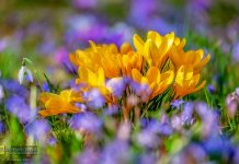 Pogoda na weekend: sobota wiosenna, niedziela chłodna i wietrzna