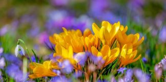 Pogoda na weekend: sobota wiosenna, niedziela chłodna i wietrzna