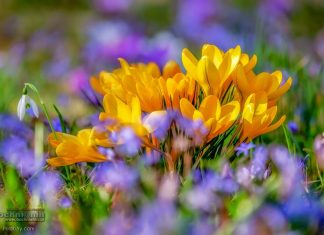 Pogoda na weekend: sobota wiosenna, niedziela chłodna i wietrzna