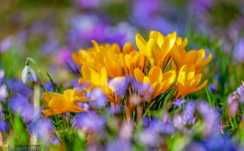 Pogoda na weekend: sobota wiosenna, niedziela chłodna i wietrzna