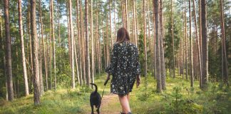 Majówka w cieniu zagrożenia pożarowego. Leśnicy apelują o rozwagę