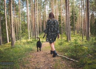 Majówka w cieniu zagrożenia pożarowego. Leśnicy apelują o rozwagę
