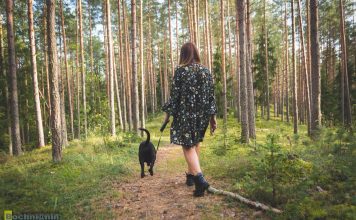 Majówka w cieniu zagrożenia pożarowego. Leśnicy apelują o rozwagę