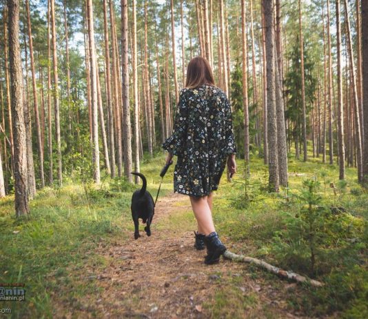 Majówka w cieniu zagrożenia pożarowego. Leśnicy apelują o rozwagę