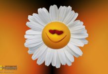 Pogoda na Majówkę w Bochni i Małopolsce: najpierw chłodno, potem prawdziwe ocieplenie