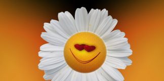 Pogoda na Majówkę w Bochni i Małopolsce: najpierw chłodno, potem prawdziwe ocieplenie