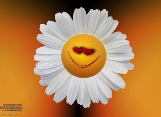 Pogoda na Majówkę w Bochni i Małopolsce: najpierw chłodno, potem prawdziwe ocieplenie