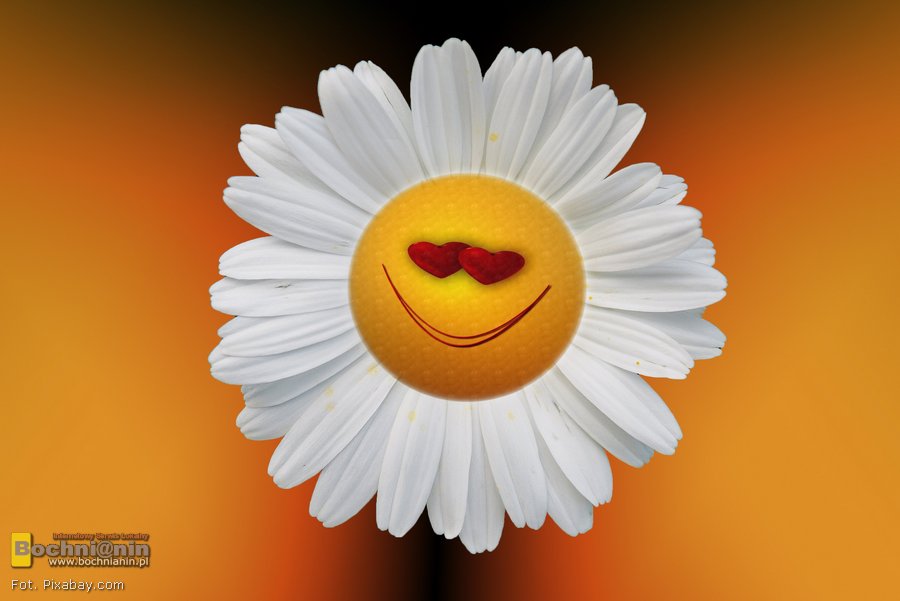 Pogoda na Majówkę w Bochni i Małopolsce: najpierw chłodno, potem prawdziwe ocieplenie