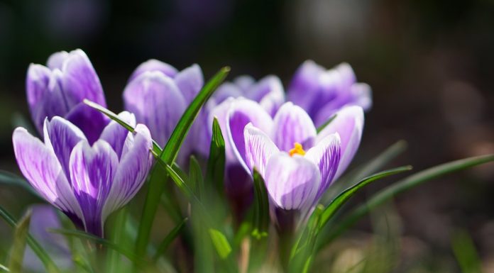 Po świętach wietrzna i deszczowa aura w Małopolsce